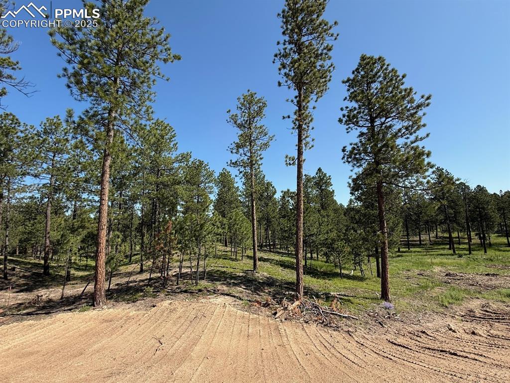 14681 Quartz Creek Dr, Colorado Springs, CO 80908