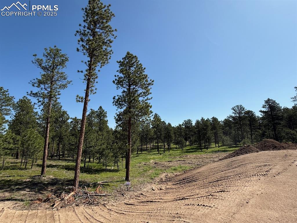 14681 Quartz Creek Dr, Colorado Springs, CO 80908
