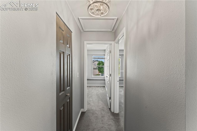 5360 Tupper Ct, Colorado Springs, CO 80923 - hall with carpet and baseboards