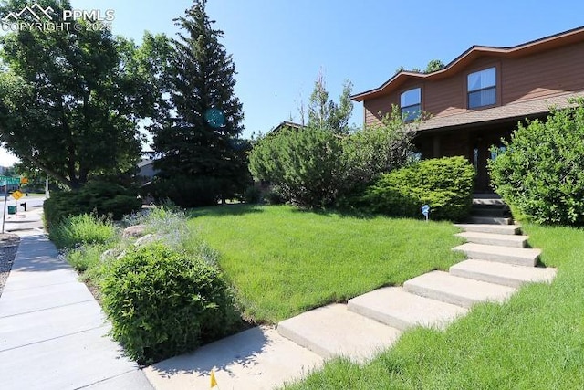 4170 Broadmoor Bluffs Dr, Colorado Springs, CO 80906 - view of green lawn