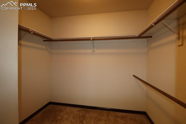 4170 Broadmoor Bluffs Dr, Colorado Springs, CO 80906 - view of spacious closet