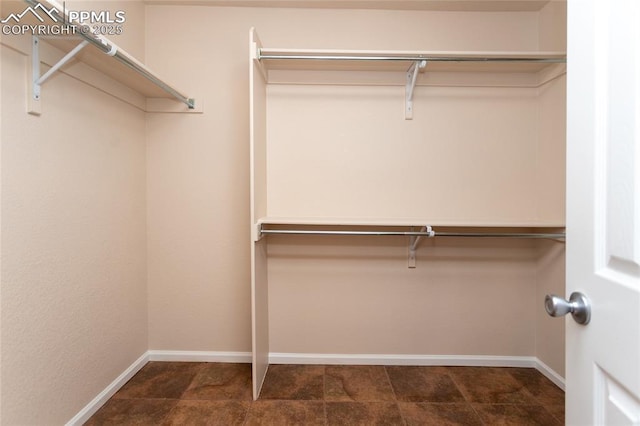 7292 Gardenstone Dr, Colorado Springs, CO 80922 - view of walk in closet