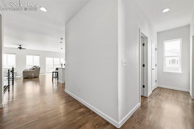 8309 Tom Ketchum Dr, Colorado Springs, CO 80908 - hall featuring wood finished floors and recessed lighting