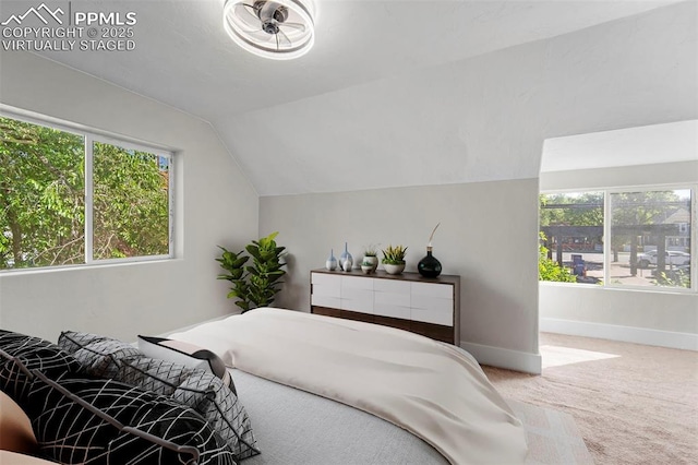 109 S 24th St, Colorado Springs, CO 80904 - carpeted bedroom featuring multiple windows and vaulted ceiling