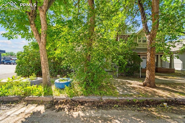 109 S 24th St, Colorado Springs, CO 80904 - view of yard