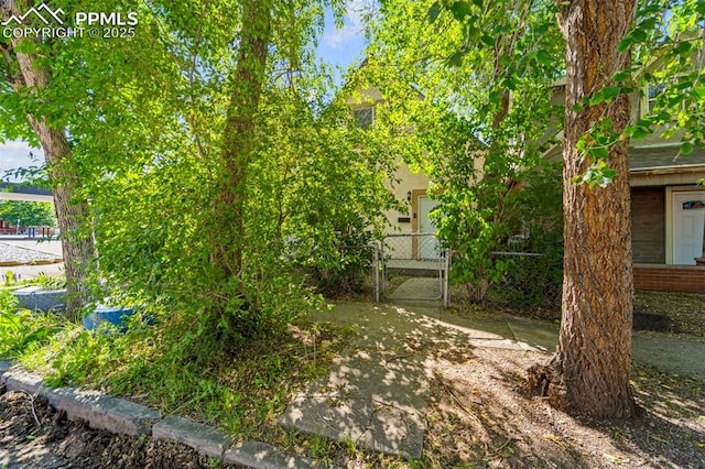 109 S 24th St, Colorado Springs, CO 80904 - view of yard featuring a gate