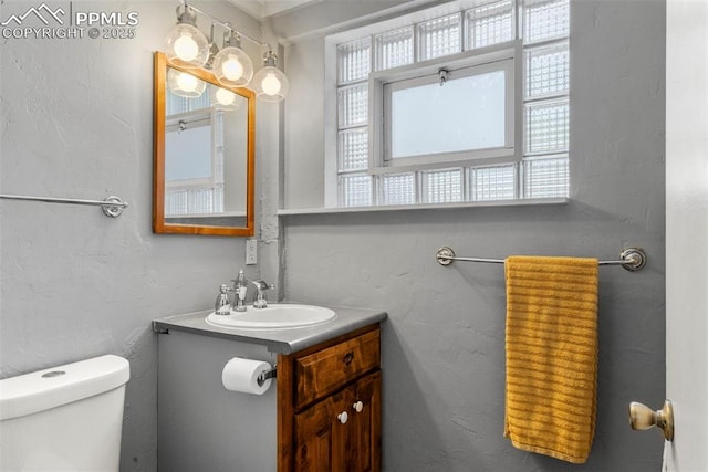 4440 Heizer St, Cascade, CO 80809 - bathroom with vanity and toilet