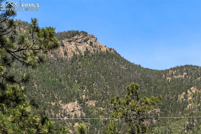 4440 Heizer St, Cascade, CO 80809 - mountain view with a forest