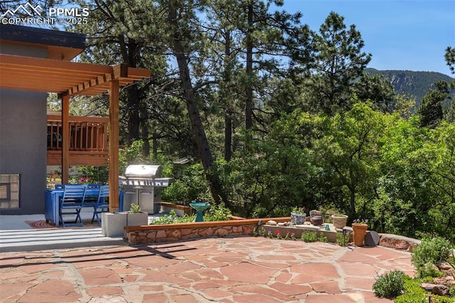 4440 Heizer St, Cascade, CO 80809 - view of patio with a pergola and a mountain view