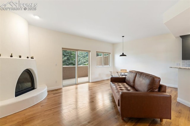 3219 W Pikes Peak Ave, Colorado Springs, CO 80904 - living area with a glass covered fireplace and light wood-style flooring