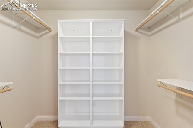 3219 W Pikes Peak Ave, Colorado Springs, CO 80904 - spacious closet featuring carpet flooring