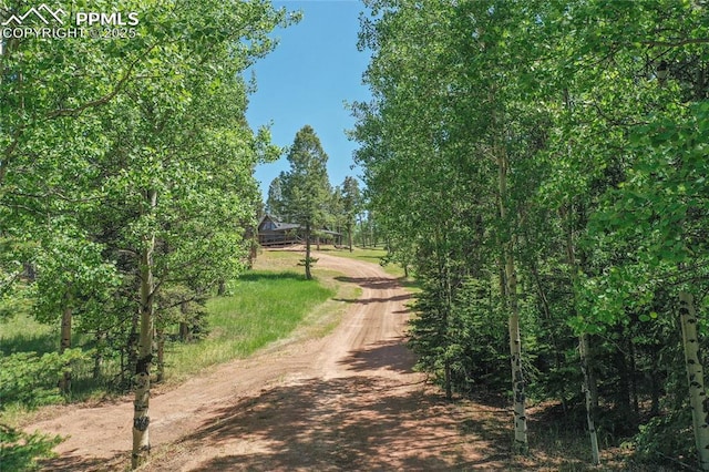 101 Daniwood Grv, Florissant, CO 80816 - view of dirt / gravel road