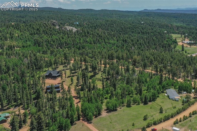 101 Daniwood Grv, Florissant, CO 80816 - aerial view of property's location with a forest and a mountainous background