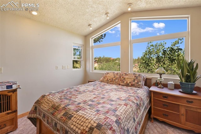 47 Red Cloud Rd, Woodland Park, CO 80863 - bedroom featuring vaulted ceiling, light carpet, and a textured ceiling