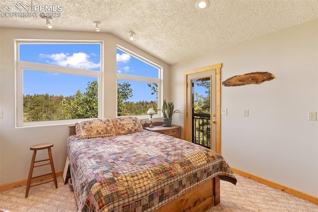 47 Red Cloud Rd, Woodland Park, CO 80863 - bedroom featuring lofted ceiling, carpet floors, multiple windows, access to exterior, and a textured ceiling