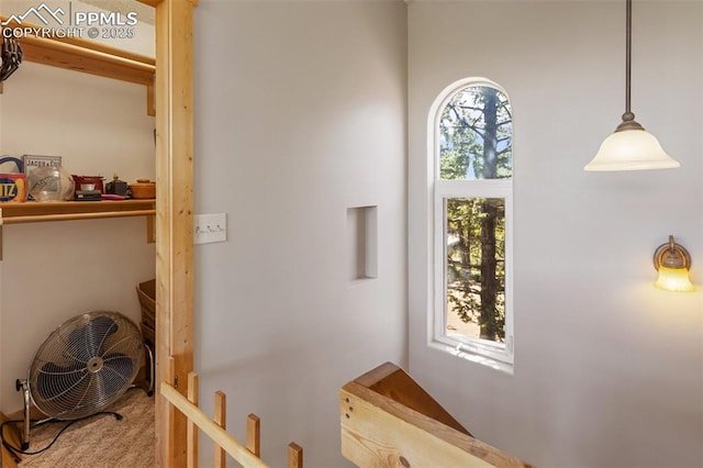 47 Red Cloud Rd, Woodland Park, CO 80863 - hall with carpet floors