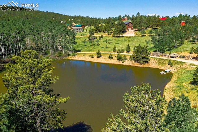 47 Red Cloud Rd, Woodland Park, CO 80863 - aerial view of property and surrounding area with a nearby body of water and a heavily wooded area