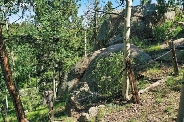 47 Red Cloud Rd, Woodland Park, CO 80863 - view of nature