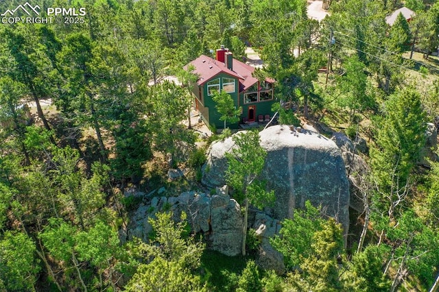 47 Red Cloud Rd, Woodland Park, CO 80863 - view from above of property featuring a forest
