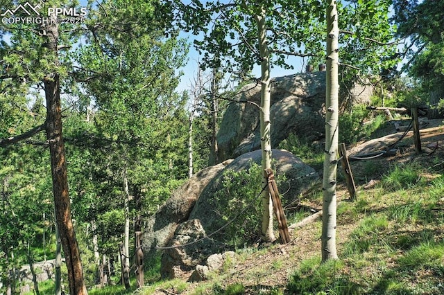 47 Red Cloud Rd, Woodland Park, CO 80863 - view of nature