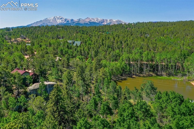 47 Red Cloud Rd, Woodland Park, CO 80863 - aerial view of property and surrounding area with a heavily wooded area and a mountainous background
