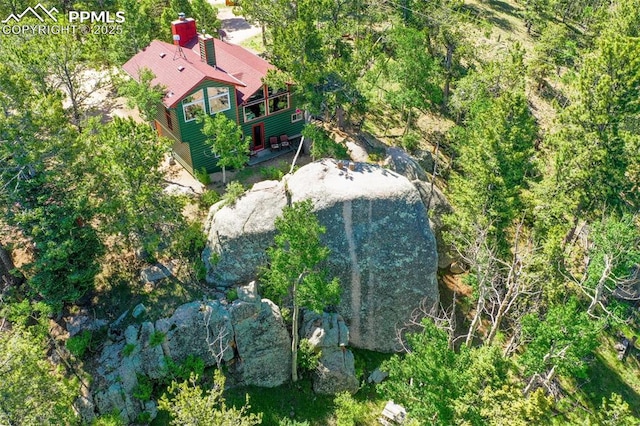 47 Red Cloud Rd, Woodland Park, CO 80863 - view of subject property