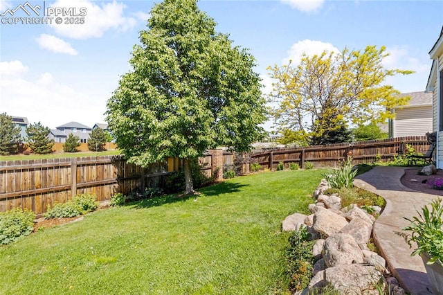 6534 Harvey Ln, Colorado Springs, CO 80923 - view of fenced backyard