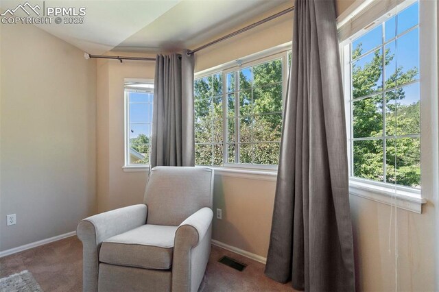 2355 Sawgrass Ct, Colorado Springs, CO 80907 - sitting room featuring carpet and baseboards