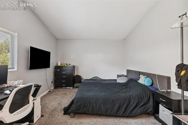 609 Wheat Field Rd, Fountain, CO 80817 - carpeted bedroom featuring vaulted ceiling and a desk