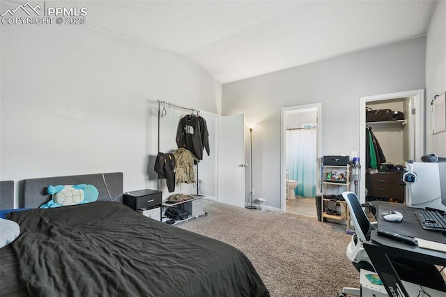 609 Wheat Field Rd, Fountain, CO 80817 - carpeted bedroom featuring vaulted ceiling, connected bathroom, a spacious closet, and a closet