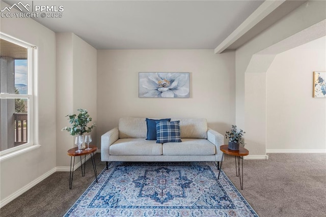 1410 Almagre Peak Dr, Colorado Springs, CO 80921 - carpeted living area with baseboards