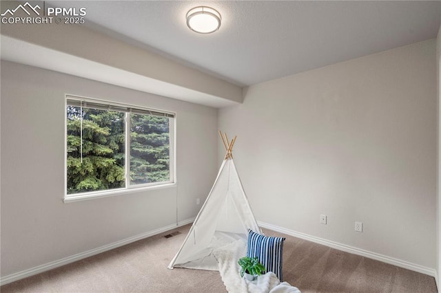 1410 Almagre Peak Dr, Colorado Springs, CO 80921 - rec room with carpet floors and baseboards