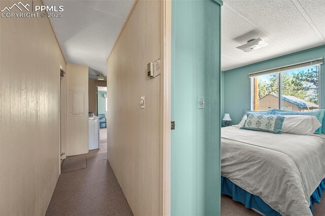 332 Valley Cir, Guffey, CO 80816 - bedroom featuring a textured ceiling