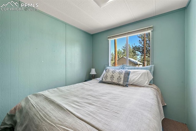 332 Valley Cir, Guffey, CO 80816 - bedroom with a textured ceiling