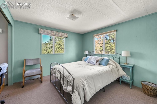 332 Valley Cir, Guffey, CO 80816 - carpeted bedroom with multiple windows and a closet