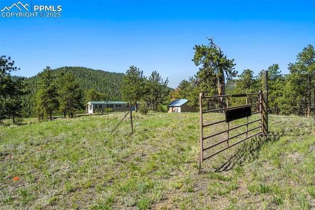 332 Valley Cir, Guffey, CO 80816 - view of yard featuring a forest view and a view of countryside