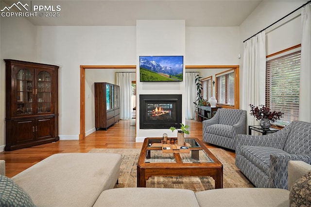 225 Laclede Ct, Colorado Springs, CO 80905 - living room with wood finished floors and a glass covered fireplace