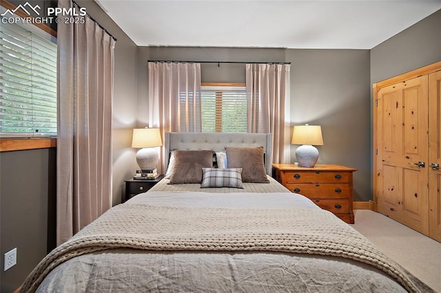 225 Laclede Ct, Colorado Springs, CO 80905 - bedroom with carpet