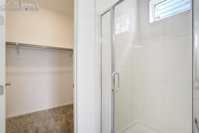 7119 Passing Sky Dr, Colorado Springs, CO 80911 - bathroom with a shower stall and a spacious closet