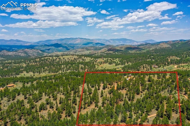 517 Drees Dr, Florissant, CO 80816 - view of property location with property boundaries highlighted