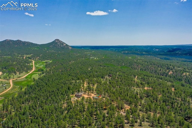 517 Drees Dr, Florissant, CO 80816 - bird's eye view of a forest and a mountainous background