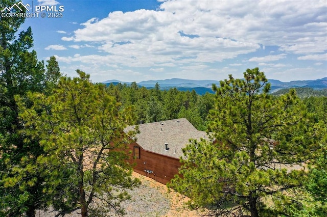 517 Drees Dr, Florissant, CO 80816 - view of mountain backdrop featuring a heavily wooded area