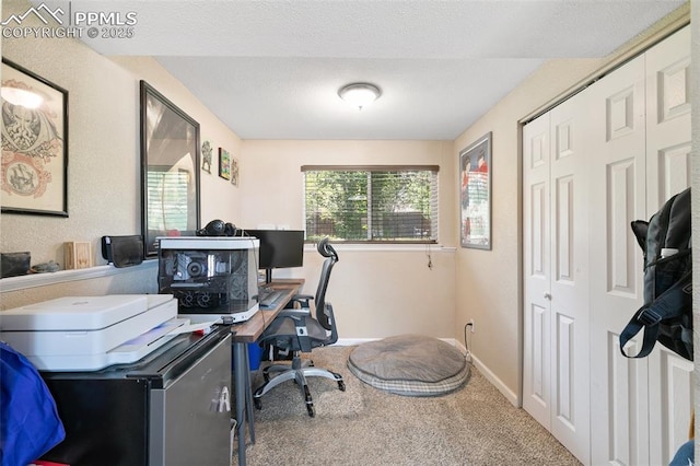 614 Bickley St, Colorado Springs, CO 80911 - carpeted office space featuring baseboards