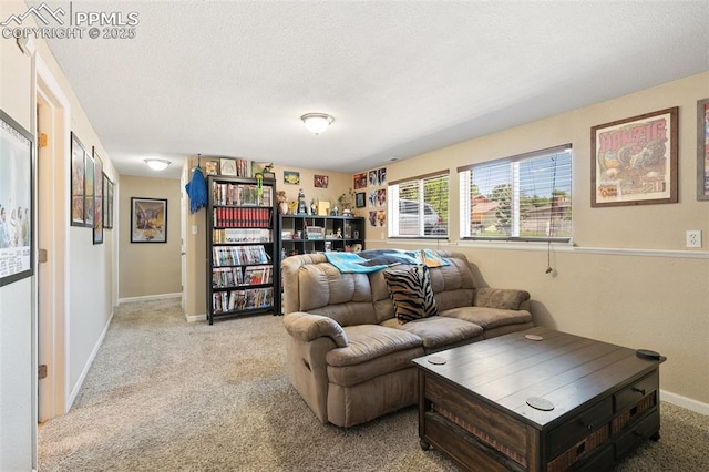 614 Bickley St, Colorado Springs, CO 80911 - living area with light carpet and a textured ceiling