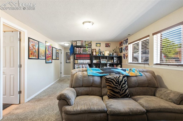 614 Bickley St, Colorado Springs, CO 80911 - living room featuring carpet flooring and a textured ceiling
