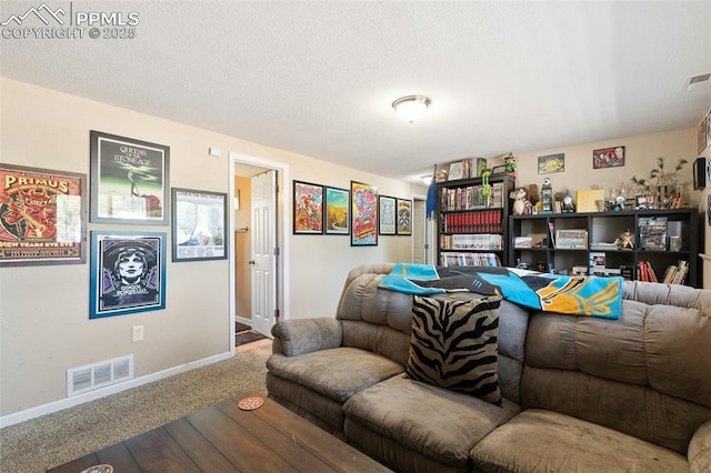 614 Bickley St, Colorado Springs, CO 80911 - living room featuring carpet floors and a textured ceiling