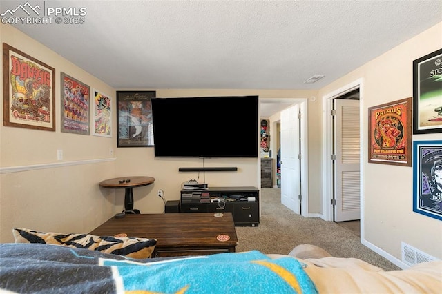 614 Bickley St, Colorado Springs, CO 80911 - living room featuring carpet floors and a textured ceiling