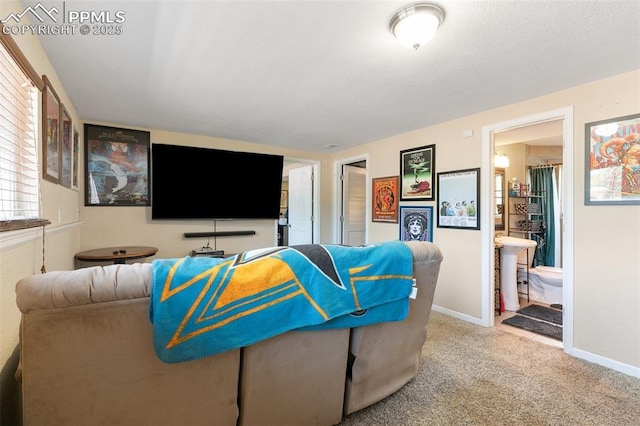 614 Bickley St, Colorado Springs, CO 80911 - living area featuring carpet floors and baseboards