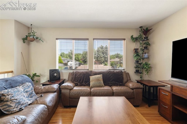 614 Bickley St, Colorado Springs, CO 80911 - living room featuring light wood finished floors