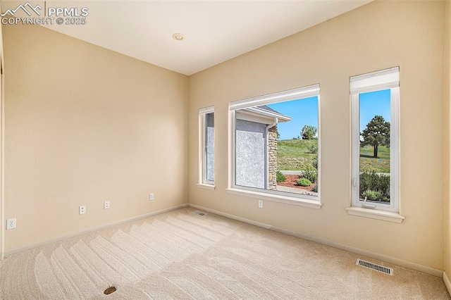 19170 Lochmere Ct, Monument, CO 80132 - carpeted empty room featuring baseboards